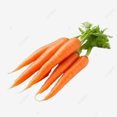 Carotte
