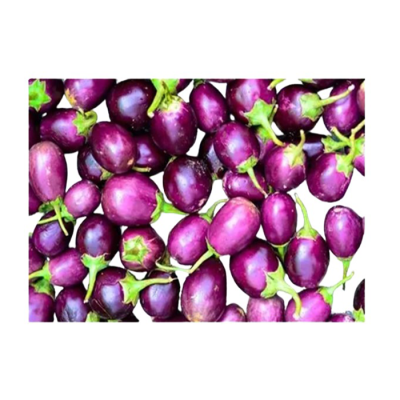 Aubergine violet 🍆